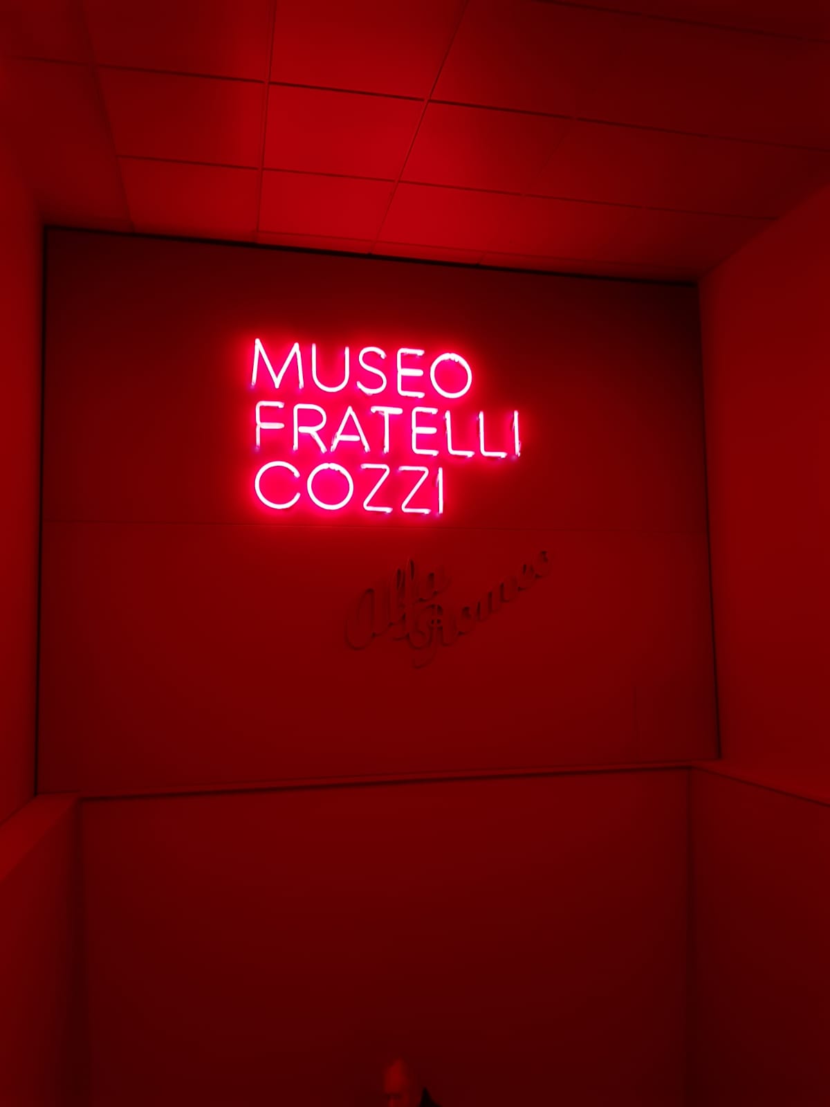 WhatsApp Image 2019-11-25 at 11.14.